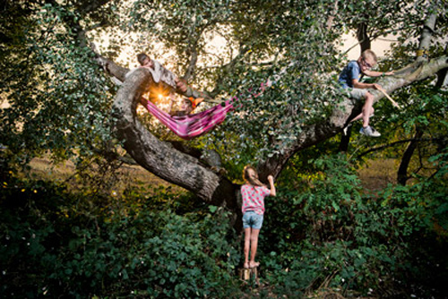 Speelbomen